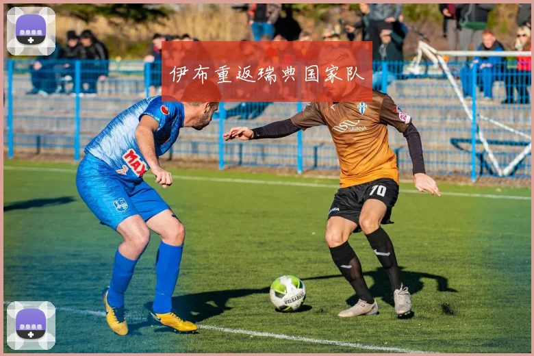 伊布重返瑞典国家队