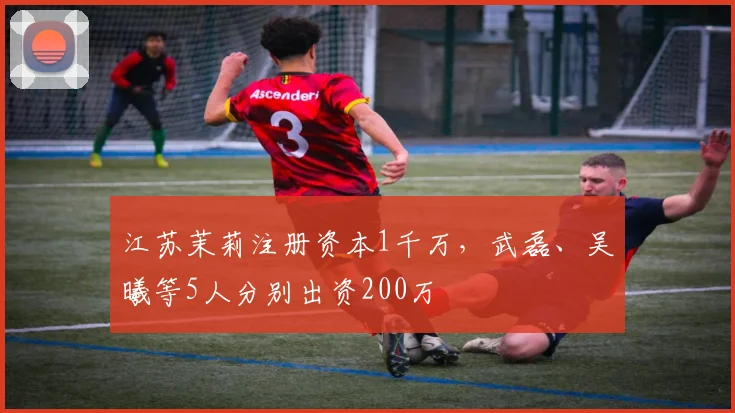 江苏茉莉注册资本1千万，武磊、吴曦等5人分别出资200万