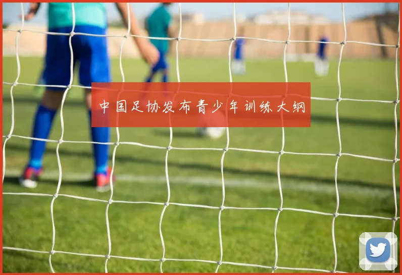 中国足协发布青少年训练大纲