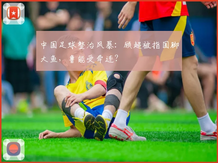 中国足球整治风暴：顾超被指国脚大鱼，鲁能受牵连？