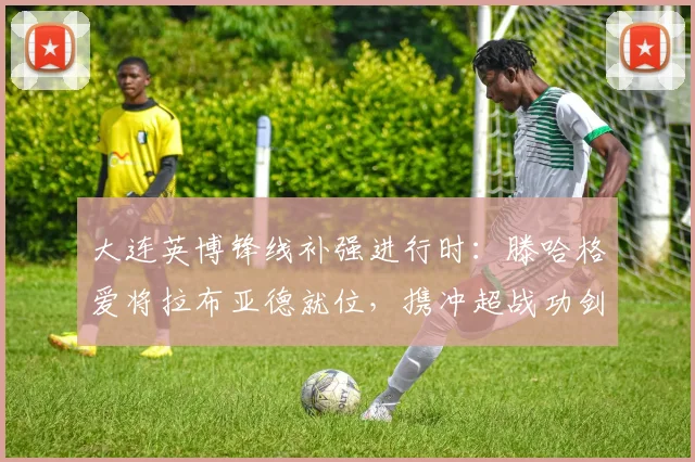 大连英博锋线补强进行时：滕哈格爱将拉布亚德就位，携冲超战功剑指中超