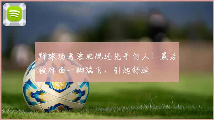 野球场恶意犯规还先手打人！最后被对面一脚踹飞，引起舒适