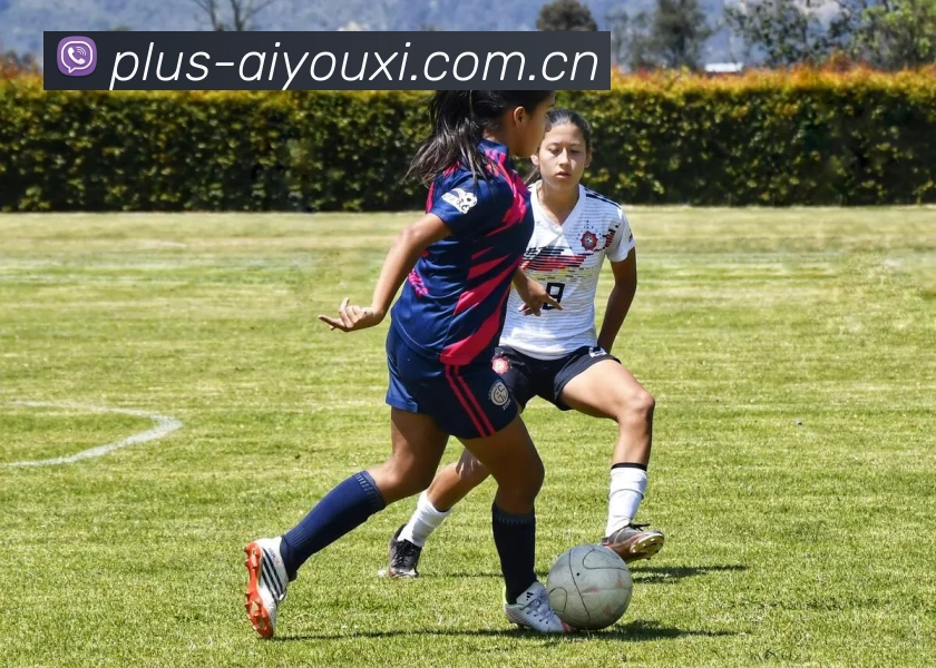 爱游戏体育APP 高清赛事图